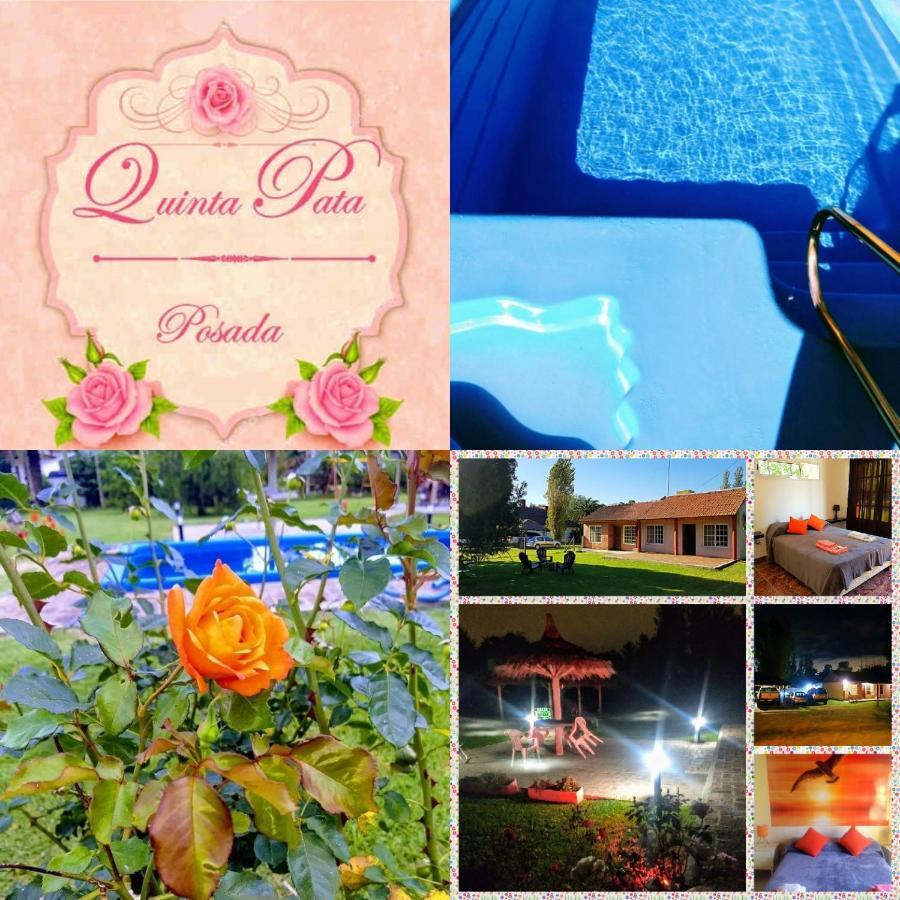 Posada Quinta Pata Ezeiza Bagian luar foto